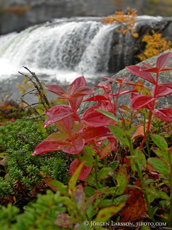 Paktajåkka Lappland Seden