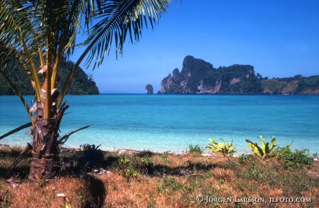 Phiphi island Thailand