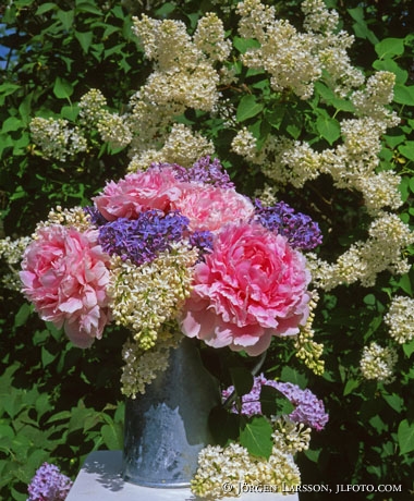 mixed flowers