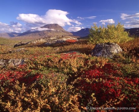 Riksgransen Lappland Sweden