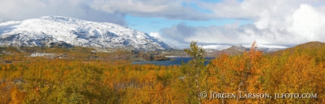 Riksgransen Lappland Digital panorama