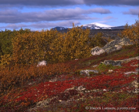 Kuokkel Lappland Sweden