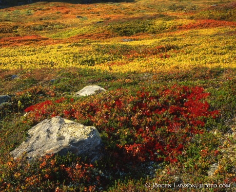 Karkevagge Lappland Sweden