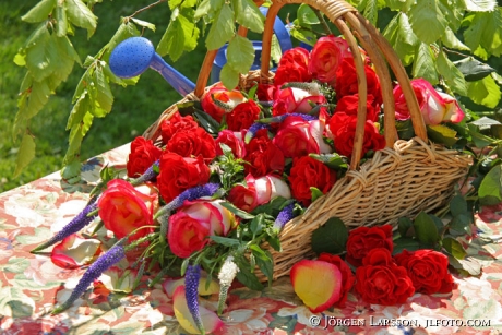 mixed flowers