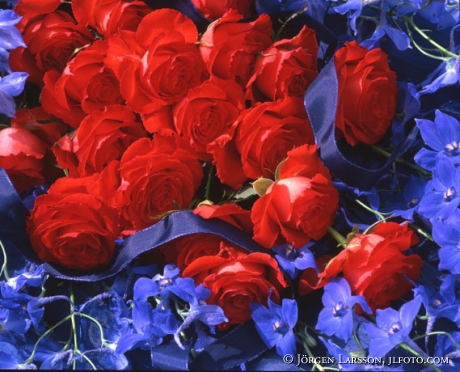 mixed flowers red blue