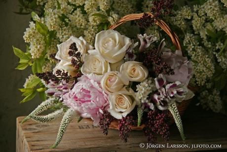 mixed flowers