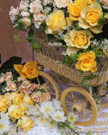 Yellow roses