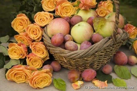 Roses apples plums