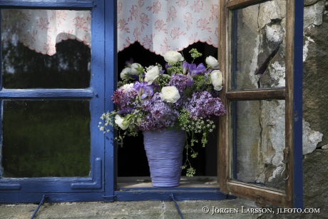 Flowers in window