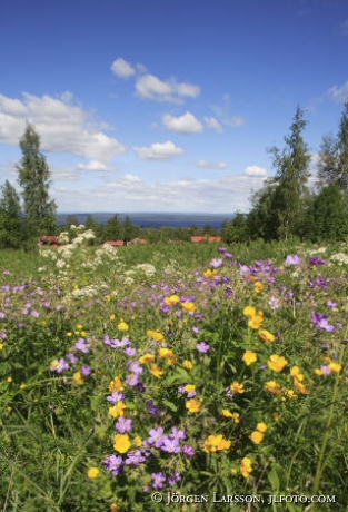 Tellberg Dalarna Sweden