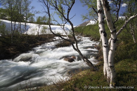 Snasahogarna Jamtland Sweden