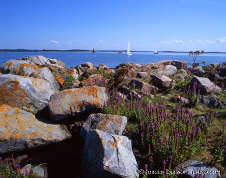 Sailboats Smaland Sweden