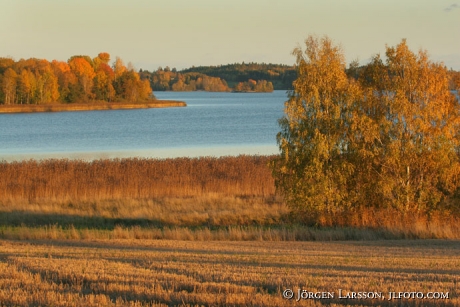 Lake autumn Bjornlonda Sweden