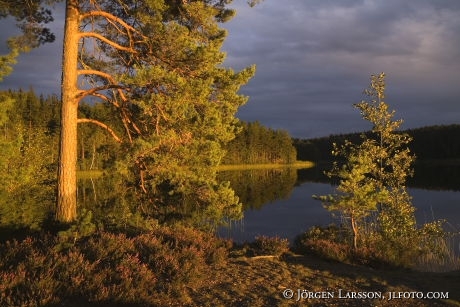 Lake Vibjorken Ostergotland Sweden