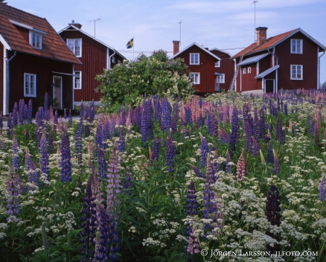 Skasa Halsingland Sweden