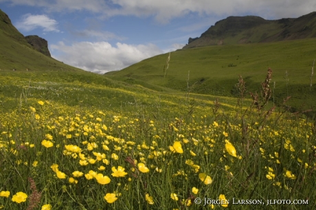 Vik Iceland