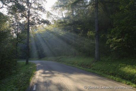 Sunbeam Autumn Sodermanland Sweden