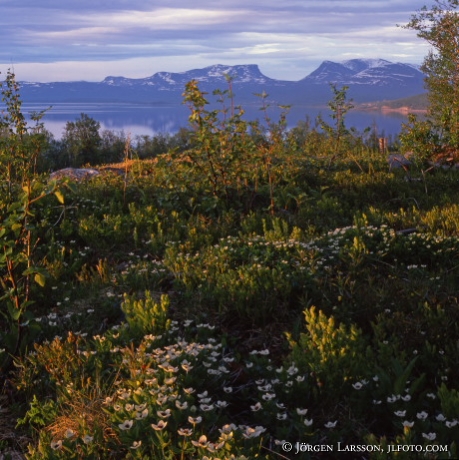 Lappland