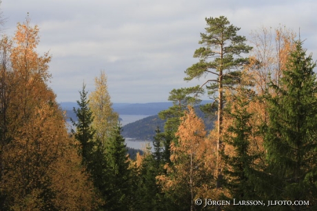 Sorleberget Angermanland Sweden