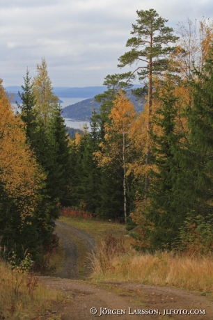 Sorleberget Angermanland Sweden