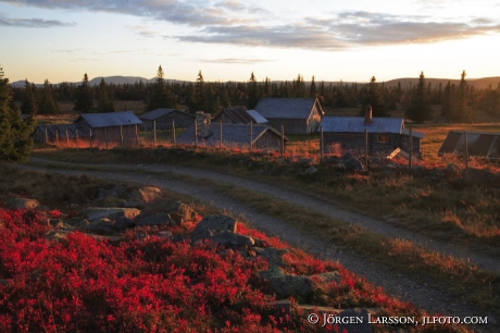 Sorvattensvallarna Harjedalen Sweden