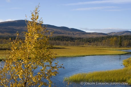 Stekenjakk Lapponia