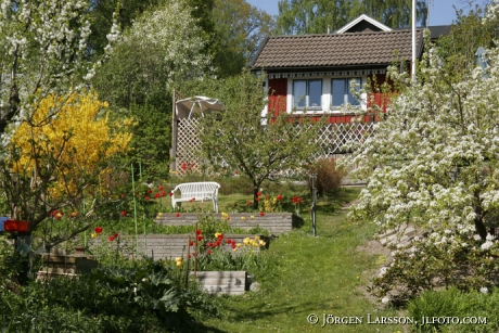 Tantolunden Stockholm