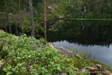 Lake Harjedalen Sweden