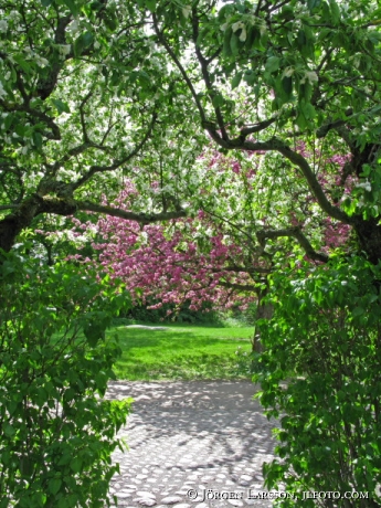 Skansen Stockholm Sweden