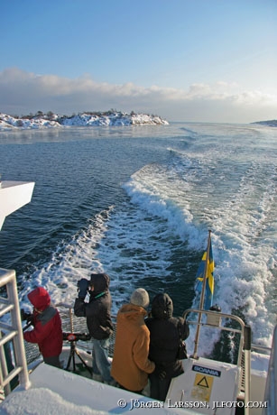 Boat Landsort Sweden