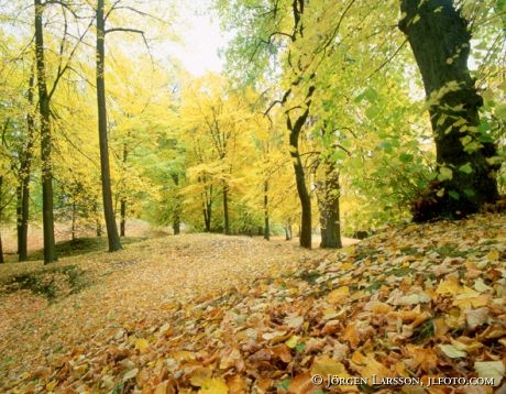 Norsborgsparken Sodermanland Sweden