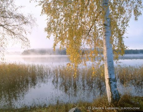 Angermanalven Angermanland Sweden