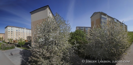 Hallunda Botkyrka Stockholm Sverige Panorama