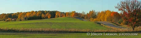 Road Autumn Sodermanland Sweden