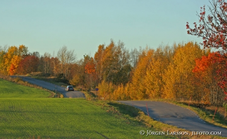 Road Autumn Sodermanland Sweden