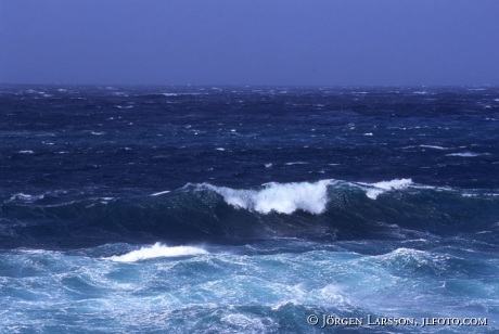 Waves windy storm sea