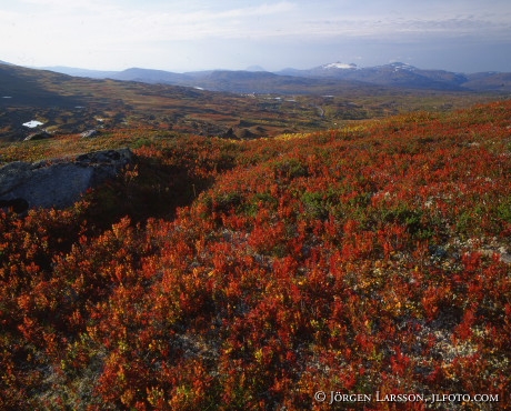 Vassijaure Lappland Sweden