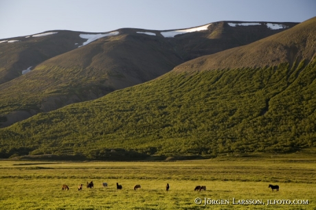 Myrdalsjokull Iceland