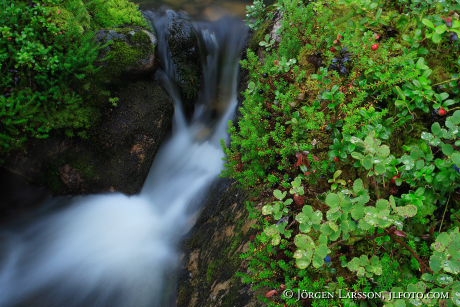 Waterfall Lill Rondan Harjedalen Sweden