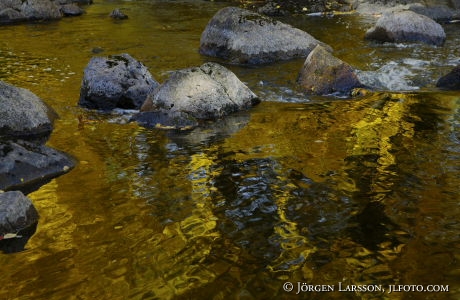 water autumn