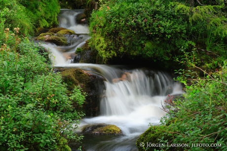 Waterfall Lill Rondan Harjedalen Sweden