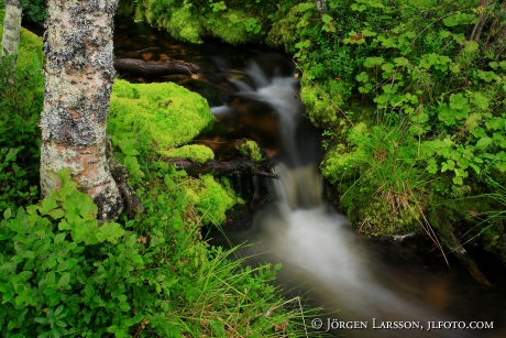 Waterfall Lill Rondan Harjedalen Sweden