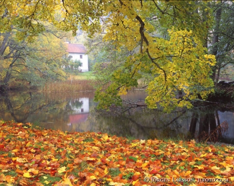 Havla Ostergotland Sweden