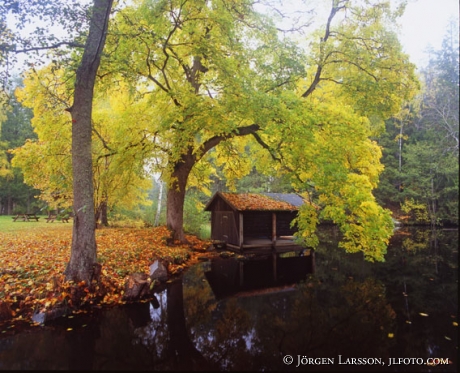 Havla Ostergotland Sweden