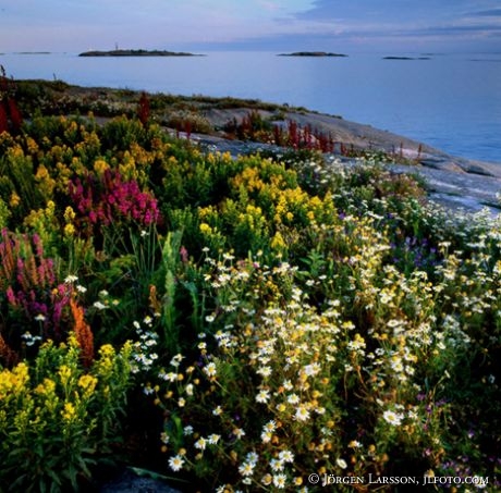 Småland, Lekskären