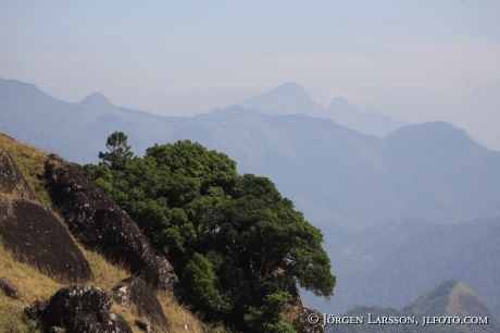 Ponmudi Gatsmountain Kerala India