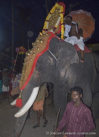 Elefantparad Kollam kerala Indien