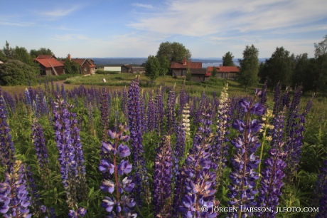 Fryksas Dalarna Sweden