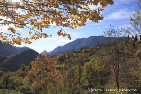 Valley Autumn 