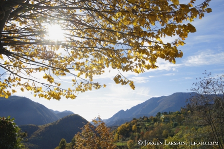 Valley Autumn 